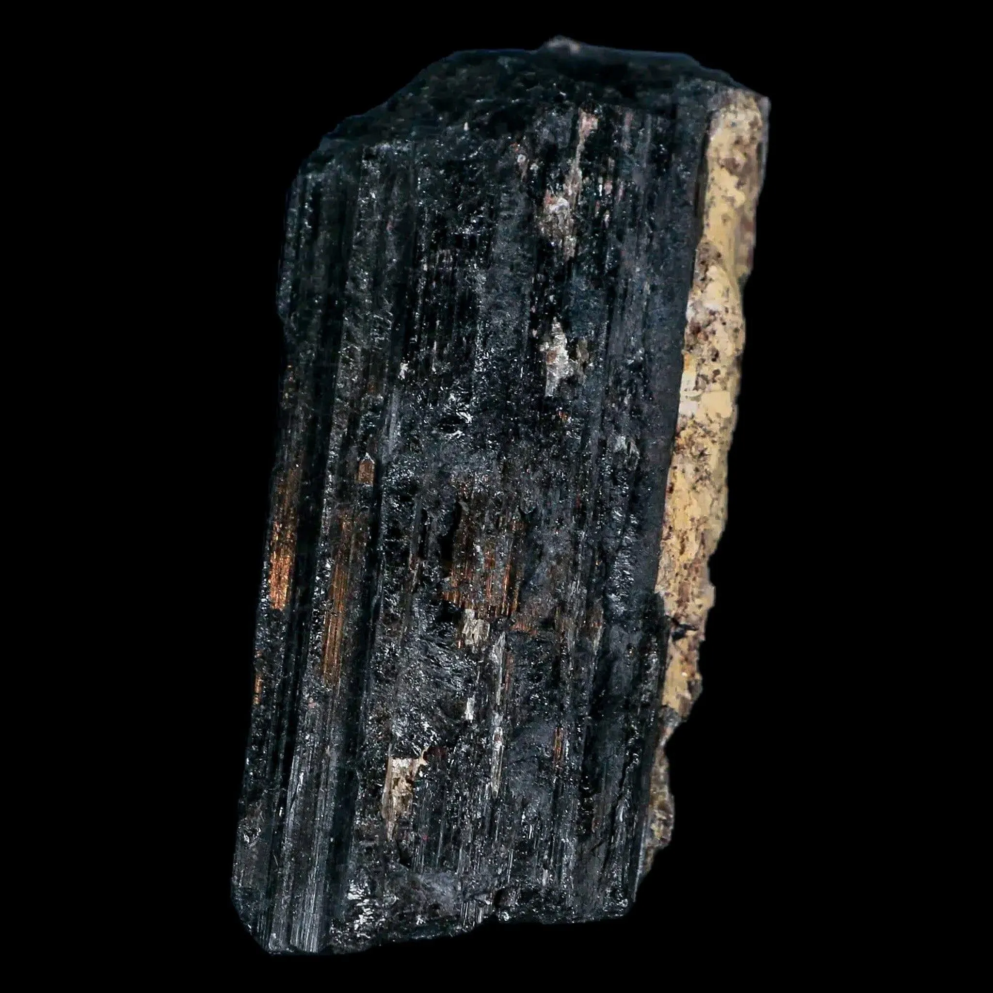 3.1" Natural Rough Black Tourmaline Mineral Crystal Specimen Schorl Brazil