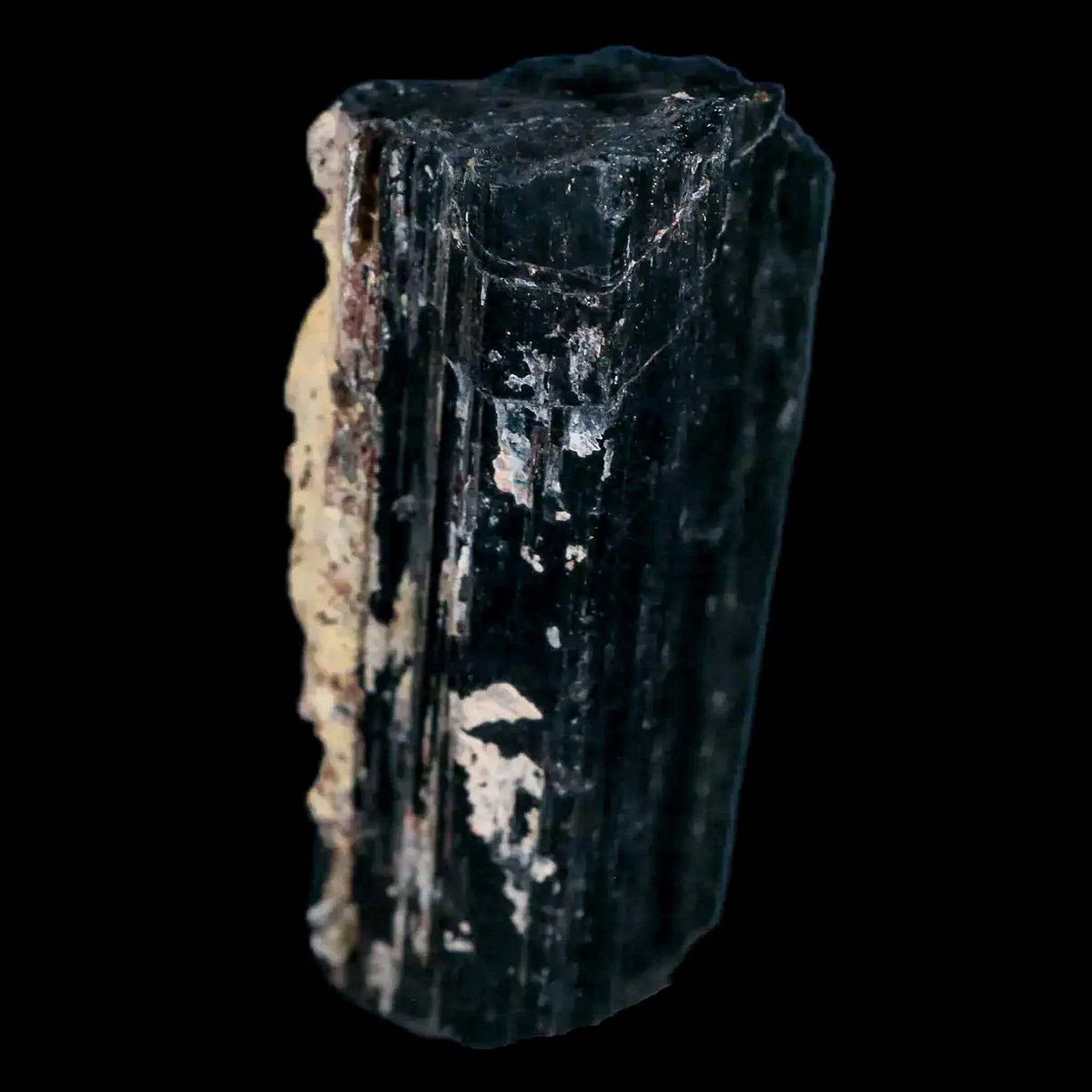 3.1" Natural Rough Black Tourmaline Mineral Crystal Specimen Schorl Brazil