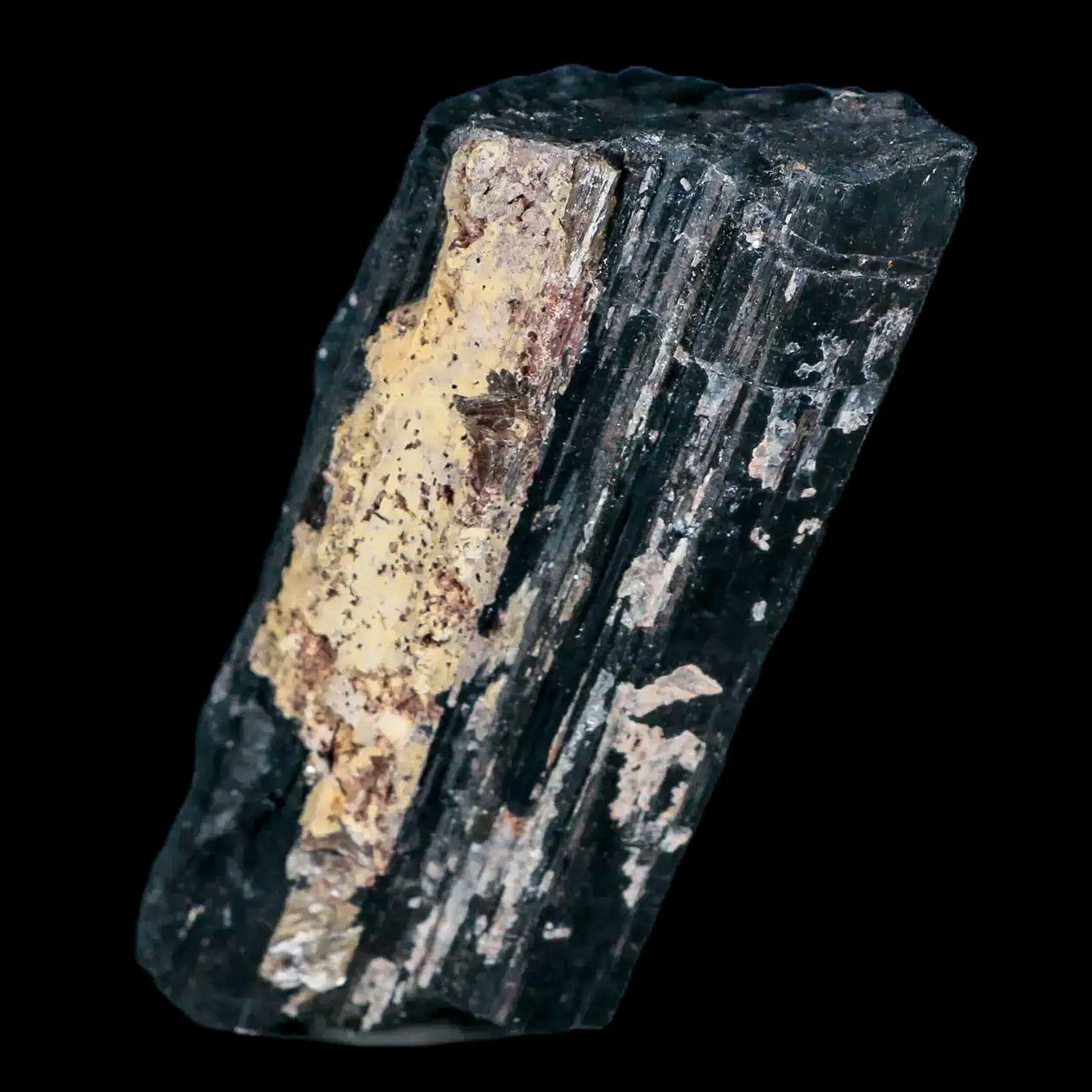 3.1" Natural Rough Black Tourmaline Mineral Crystal Specimen Schorl Brazil