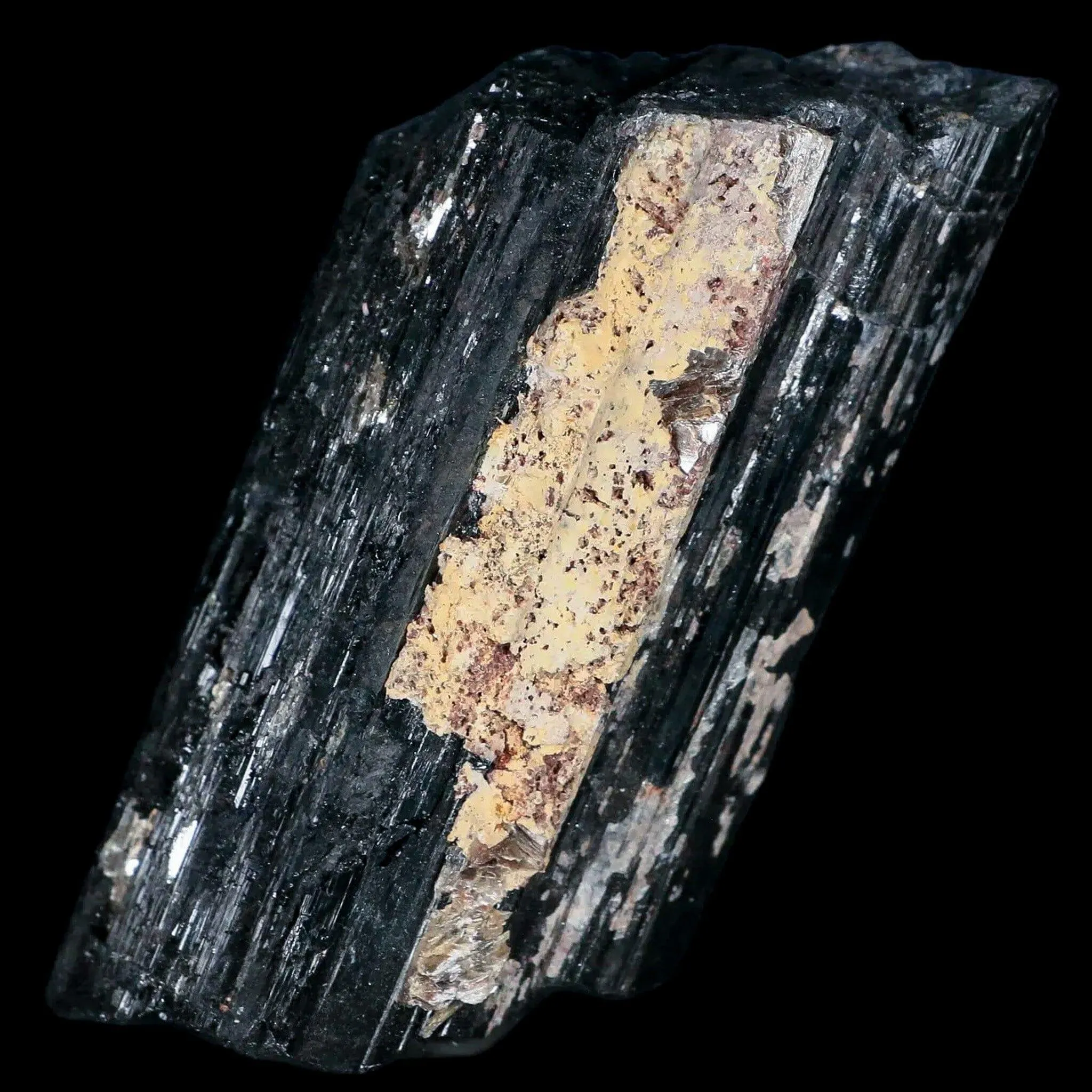 3.1" Natural Rough Black Tourmaline Mineral Crystal Specimen Schorl Brazil