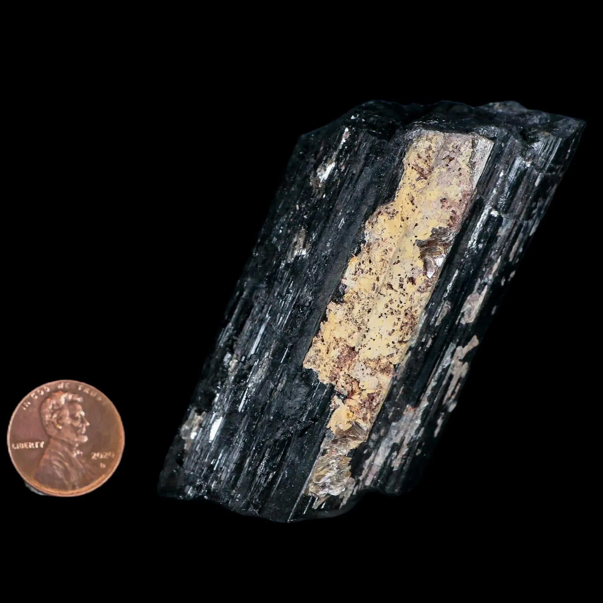 3.1" Natural Rough Black Tourmaline Mineral Crystal Specimen Schorl Brazil