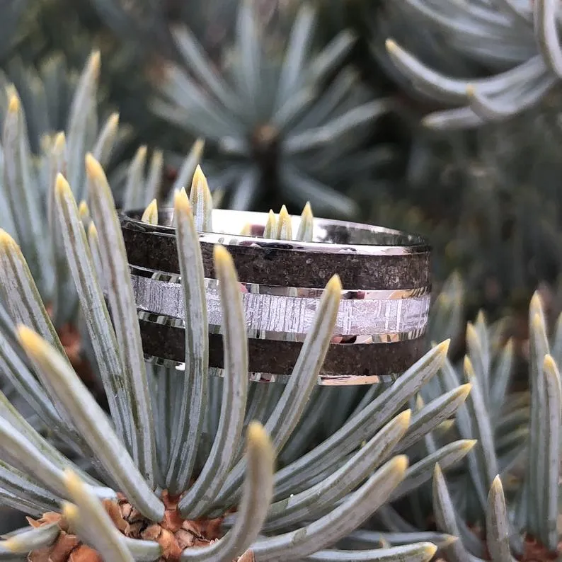 Authentic Tyrannosaurus & Meteorite Ring Dinosaur Bone Groom's Wedding Band