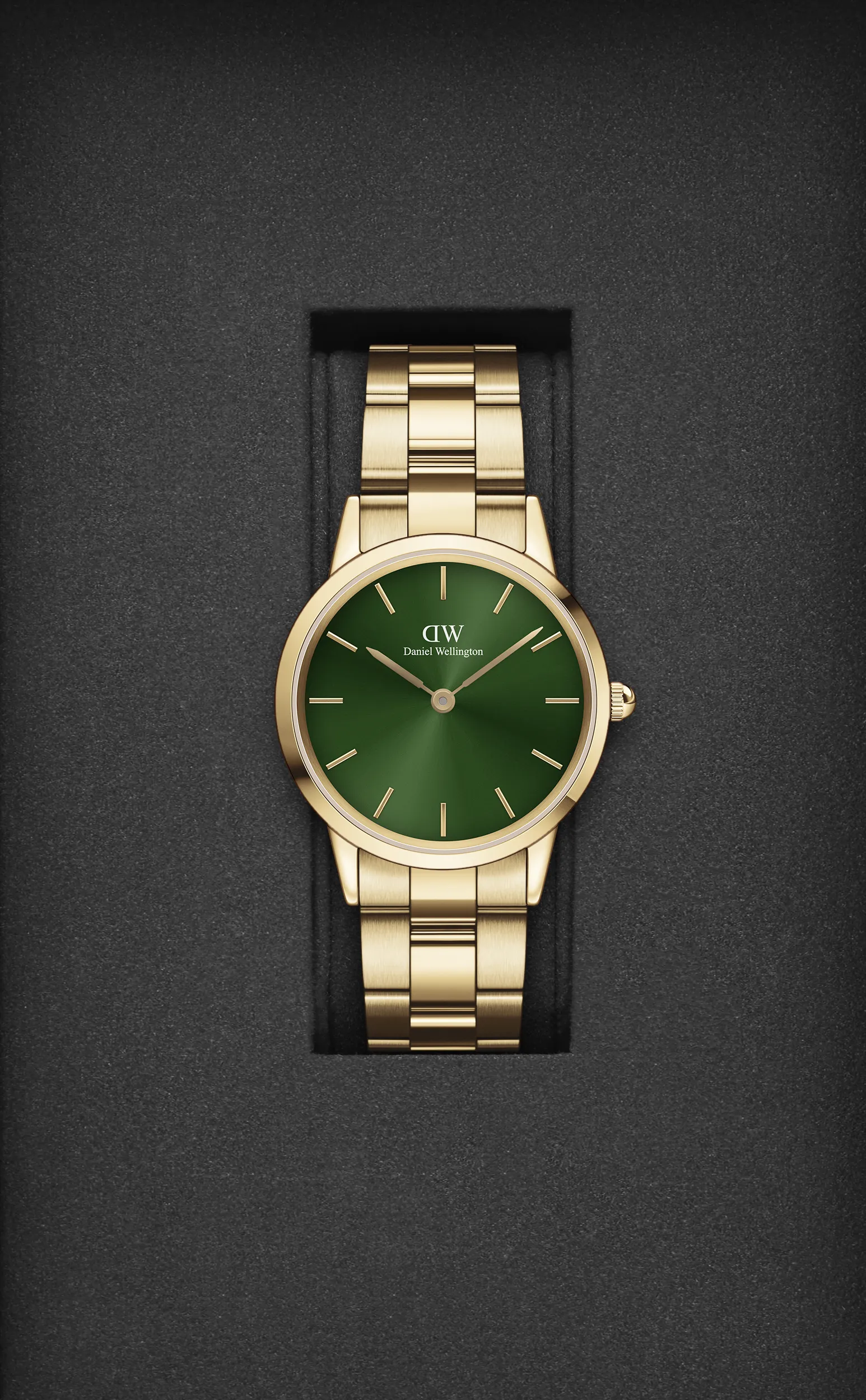 Daniel Wellington Green Dial Women Analogue Watch - DW00100554