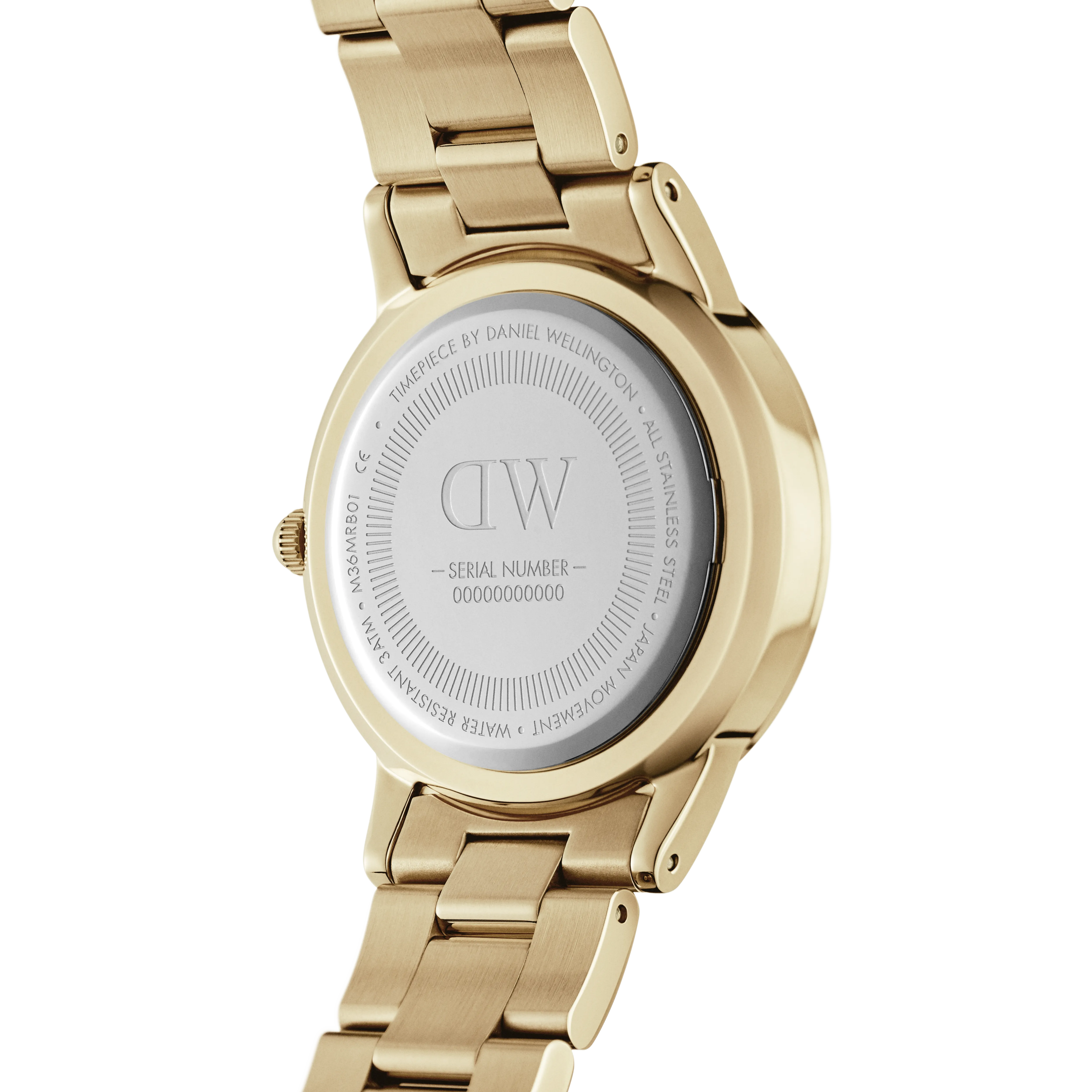 Daniel Wellington Green Dial Women Analogue Watch - DW00100554