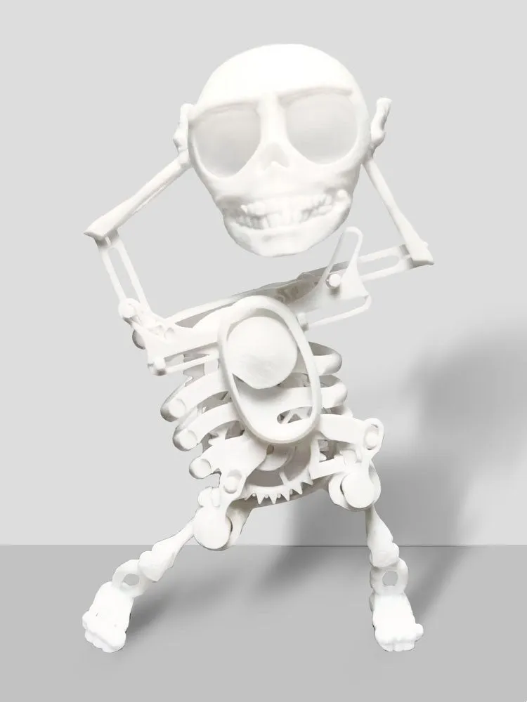 Skull Toy